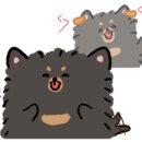 205 대게직판장