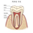 예스안치과의원 이미지