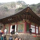 폭포여관 Daum카페