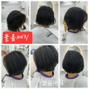 해르헤어 | (울산 남구 야음동 볼륨매직 추천) 숱 많은 머리 단정한 단발 연출