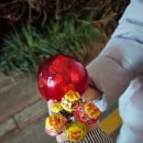 강남-028 이미지