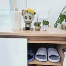 더제제왁싱&하이풋