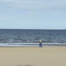 해제로 카페 이미지