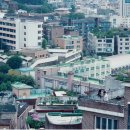 시선 - 남해군 설천로 176-193 | 시선