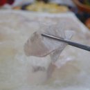 보길도활어회 이미지