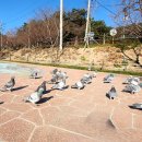 울주(울산) 이미지