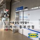 이츠펫반려동물리퍼브할인매장 | 이케아 동부산점 이용 방법과 이용 꿀팁 애견 동반 가능