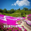 목아박물관 | 산청 생초국제조각공원 꽃잔디축제 2026 일정, 개화상황, 주차 꿀팁, 관람 포인트3