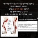 김나시온 | [순천신대피티] 김나시온 '움직임해석법' 수료 리뷰