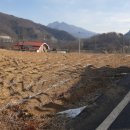 동량면사무소 이미지