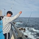 동해바다 | 줄줄이 올라오던 동해바다 학꽁치낚시 후기 (묵호,어달,대진 낚시포인트)