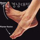 아이언짐 이미지