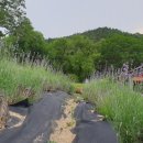 농업인회관 화장실 이미지