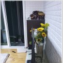 에이치디알 | 삼성75인치tv 엄마드리구 새 티비 장만한 후기