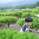 수철농장 이미지