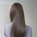 라성호텔 맞은편 이미지