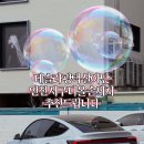 부부손세차장 이미지