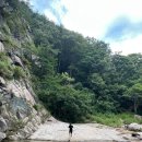 도로시민박 이미지