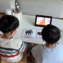 동화책읽GO 만들GO | [공구] 영어 발화의 시작, 프리스타터