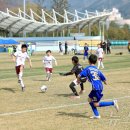 인제천연잔디구장 이미지