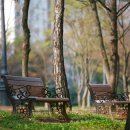 신암근린공원 이미지