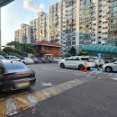 삼부스포렉스 이미지