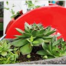 연주펜션 이미지