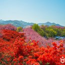 콩쥐팥쥐 관광 한옥리조트 이미지