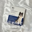 S펫 | 강아지 고양이 분리불안 영양제 펫S 효과 후기는?