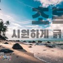 일등태권도장 이미지