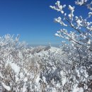 ＜푸른산악회＞ 1월22일(일) 소백산 눈꽃산행 이미지