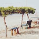 대천릴렉스펜션 | 안면도스파펜션 안면도 태안 청포대 해수욕장 바다 뷰 칸타빌레펜션
