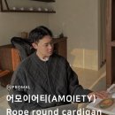 어모이어티(AMOIETY)