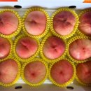 우재농장 이미지