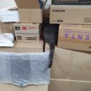 달밤PC방 이미지