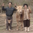 못된송아지 이미지