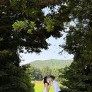 우리만의 웨딩사진 🌿 제주 셀프웨딩촬영 준비 완벽정리 PART 2. 장소 (비밀스팟공개🤫)