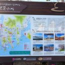 하단동1163 이미지