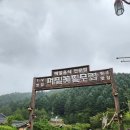 롤키 | 조용한 위로가 필요한 날, 봉평 롤키펜션에서의 1박 2일 북캉스