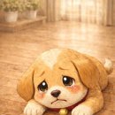 보은옥천영동축협 동물병원 | 강아지 눈물자국 관리법