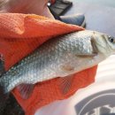 백운낚시터 이미지