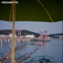 다대포항고기 이미지