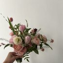 송예린헤어 | 청담[바로 오늘이 그날]