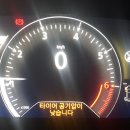 애니카센타 이미지