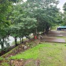 골짜구니 야영장 이미지