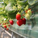 내곡동467 이미지