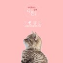 사평대로20길 3 이미지