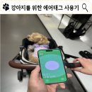 강아지와 아이에게 필요한 위치추적기, 에어태그 사용기