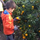 준석농장 이미지