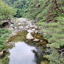 팔만식당 이미지